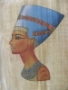Papirus